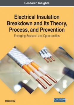 Electrical Insulation Breakdown and Its Theory, Process, and Prevention