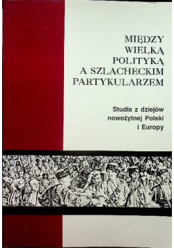 Między wielką polityką a szlacheckim partykularzem