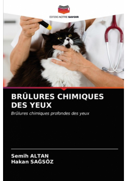 Brûlures Chimiques Des Yeux