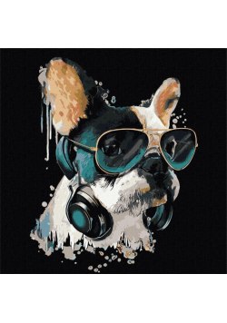 Malowanie po numerach - Puszysty DJ 40x40cm