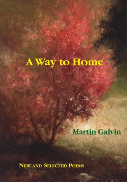 A Way to Home