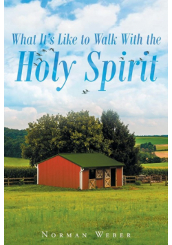 What It's Like to Walk With The Holy Spirit