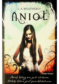 Anioł