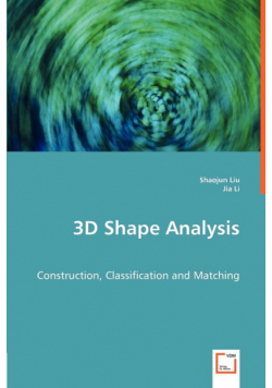 3D Shape Analysis