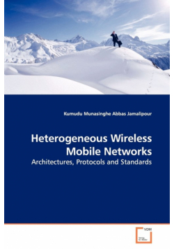 Heterogeneous Wireless Mobile Networks