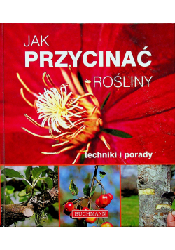 Jak przycinać rośliny techniki i porady