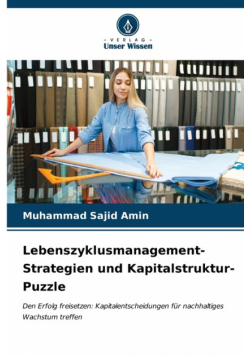 Lebenszyklusmanagement-Strategien und Kapitalstruktur-Puzzle