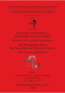 Gestion des combustibles au paléolithique et au mésolithique / Fuel  Management during the Palaeolithic and Mesolithic Periods