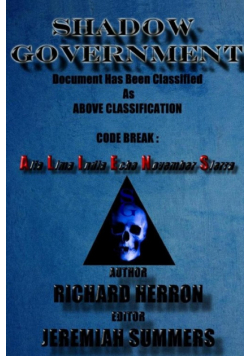 Shadow Government
