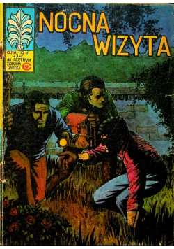 Nocna Wizyta