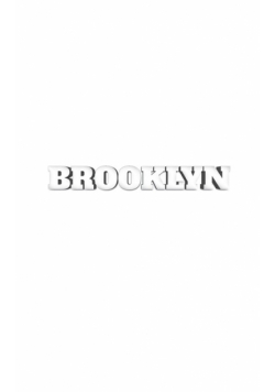 Brooklyn  New York Creative Journal
