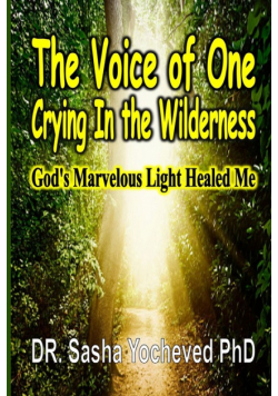 The Voice of One Crying In the Wilderness