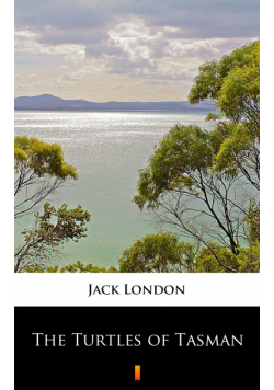 The Turtles of Tasman