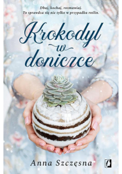 Krokodyl w doniczce