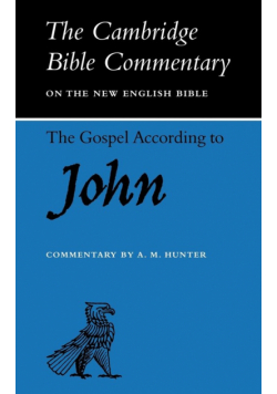 The Gospel According to John
