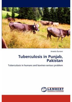 Tuberculosis in Punjab, Pakistan