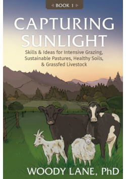 Capturing Sunlight, Book 1