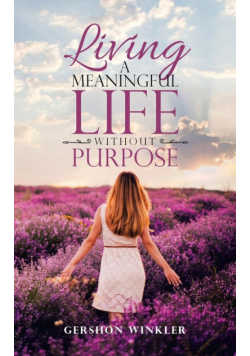 Living a Meaningful Life Without Purpose