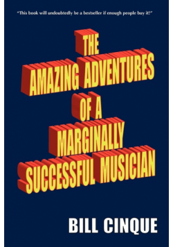 The Amazing Adventures Of A Marginally Successful Musician
