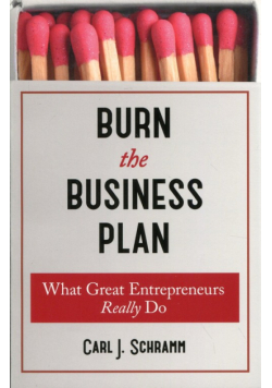 Burn The Business Plan