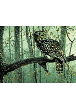 Malowanie po numerach - Zaspana sowa 30x40cm