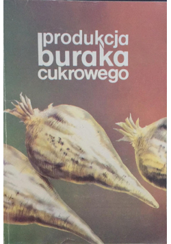 Produkcja buraka cukrowego