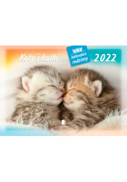 Kalendarz 2022 WL09 Koty i kotki Kalendarz rodzinny