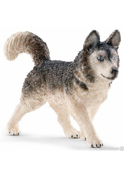 Husky