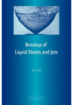 Breakup of Liquid Sheets and Jets