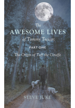 The Awesome Lives of Tommy Twicer