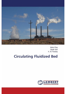 Circulating Fluidized Bed