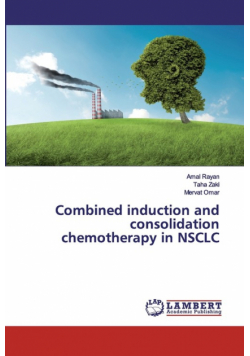 Combined induction and consolidation chemotherapy in NSCLC