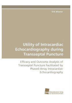 Utility of Intracardiac Echocardiography During Transseptal Puncture