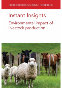 Instant Insights