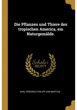 Die Pflanzen und Thiere des tropischen America, ein Naturgemälde.