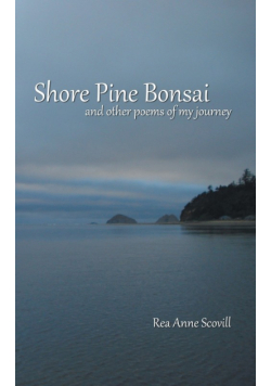 Shore Pine Bonsai