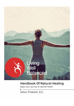 The Handbook Of Natural Healing
