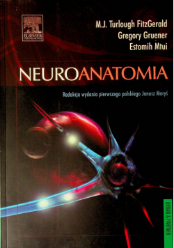 Neuroanatomia