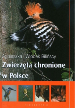 Zwierzęta chronione w Polsce