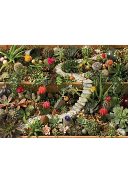 Puzzle 1000 Ogród pełen kaktusów