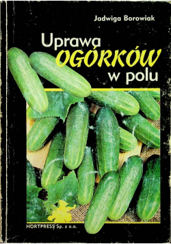 Uprawa ogórków w polu