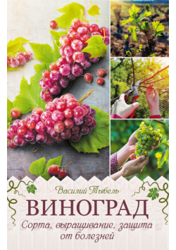 Виноград. Сорта, выращивание, защита от болезней