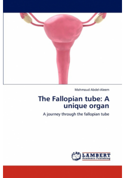 The Fallopian Tube