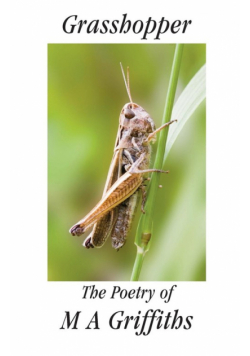 Grasshopper
