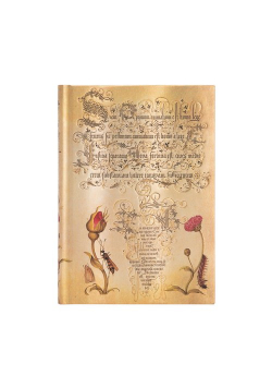 Notes Flemish Rose Midi linia