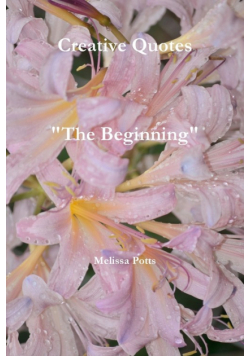 Creative Quotes "The Beginning"
