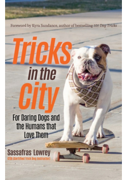Tricks in the City