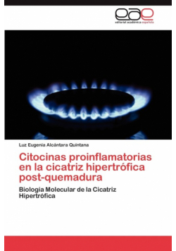 Citocinas Proinflamatorias En La Cicatriz Hipertrofica Post-Quemadura