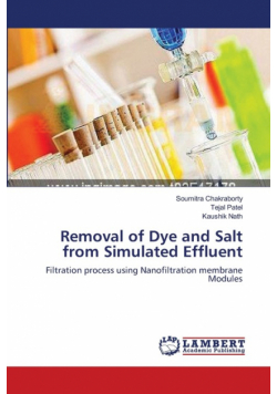 Removal of Dye and Salt from Simulated Effluent
