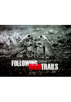 Following Wild Trails